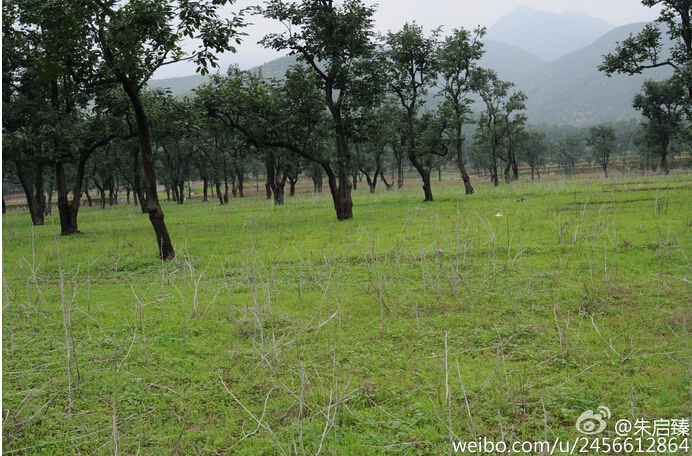 朱啟臻:沒有農民的土地(圖1)