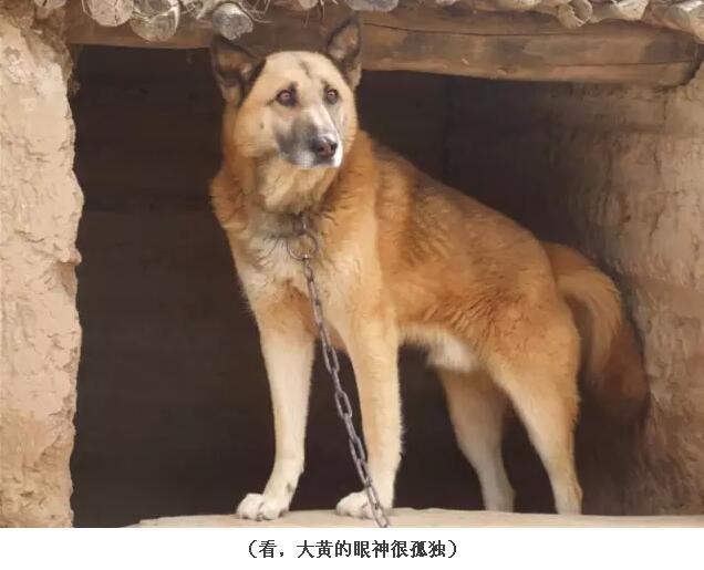 我是個(gè)住在小山村里的鄉(xiāng)下人，不要嫌棄我(圖38)