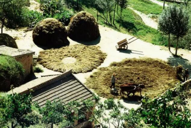 我是個(gè)住在小山村里的鄉(xiāng)下人，不要嫌棄我(圖14)
