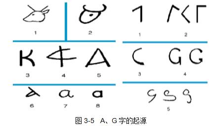 劉國棟:農業的起源都離不開“吃”(圖9)