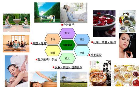 劉國棟:養(yǎng)生農業(yè)體系構建與養(yǎng)生農業(yè)未來研究方向(圖5)