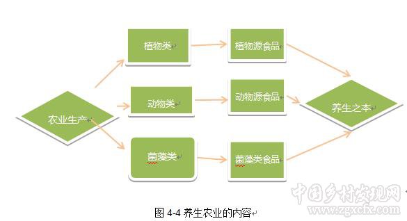 劉國棟:農業養生是自然養生的一種形式(圖3)