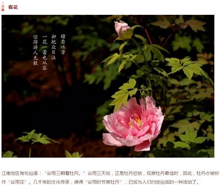 谷雨前后的鄉(xiāng)村(圖24)