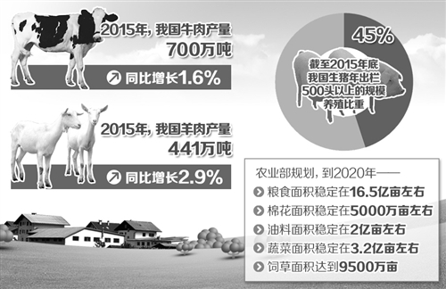 經濟日報:新一輪農業結構調整方向明晰(圖1)