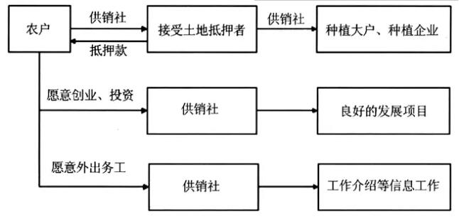 胡振華等:農(nóng)地抵押風(fēng)險(xiǎn)及預(yù)防機(jī)制分析(圖4)