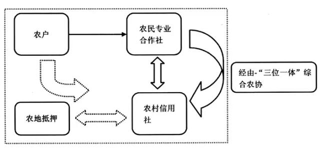 胡振華等:農(nóng)地抵押風(fēng)險(xiǎn)及預(yù)防機(jī)制分析(圖5)