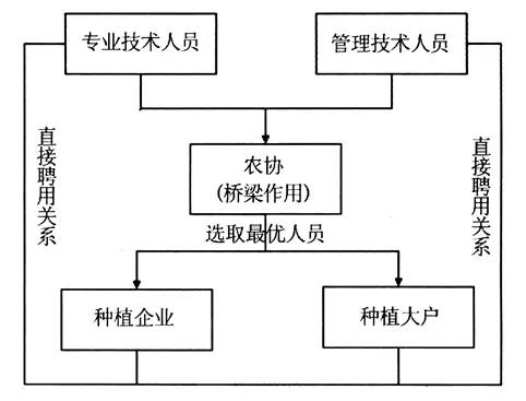 胡振華等:農(nóng)地抵押風(fēng)險(xiǎn)及預(yù)防機(jī)制分析(圖6)