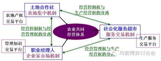 王剛毅:弱者種地差地種糧的中國農業問題(圖9)