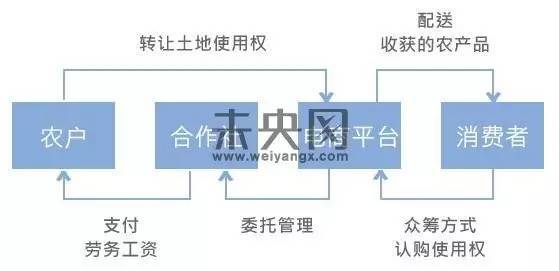 王碩:行業(yè)分析互聯(lián)網(wǎng)金融+三農(nóng)的五大模式(圖4)