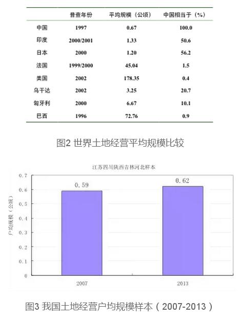 蔡昉:探索金融服務小農是死胡同(圖2)