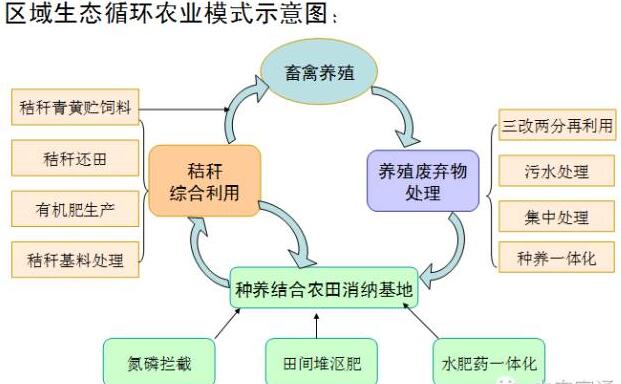 王久臣:我國(guó)生態(tài)循環(huán)農(nóng)業(yè)建設(shè)現(xiàn)狀與發(fā)展對(duì)策(圖3)