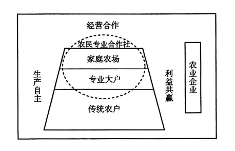 劉啟明:家庭農場內涵的演變與政策思考(圖2)