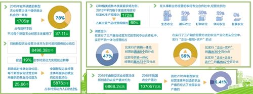 促進農業生產 改善農村社會福利(圖2)