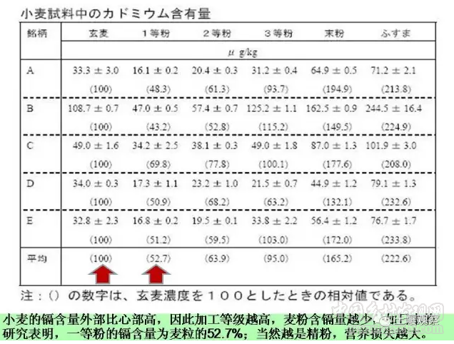 陳能場:從鎘超標到痛痛病的距離(圖14)