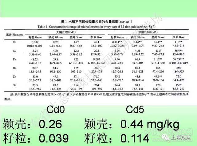 陳能場:從鎘超標到痛痛病的距離(圖12)