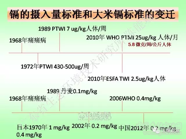 陳能場:從鎘超標到痛痛病的距離(圖17)