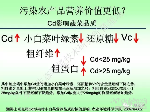 陳能場:從鎘超標到痛痛病的距離(圖19)