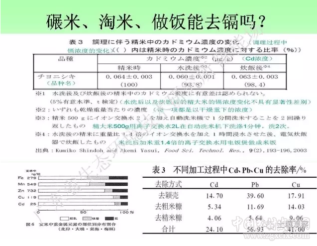 陳能場:從鎘超標到痛痛病的距離(圖30)