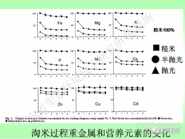 陳能場:從鎘超標到痛痛病的距離(圖31)