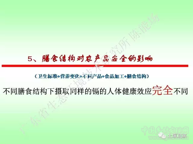 陳能場:從鎘超標到痛痛病的距離(圖33)