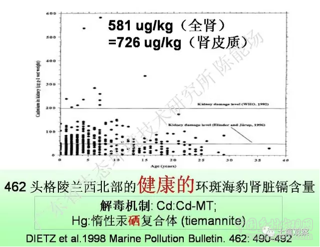 陳能場:從鎘超標到痛痛病的距離(圖44)