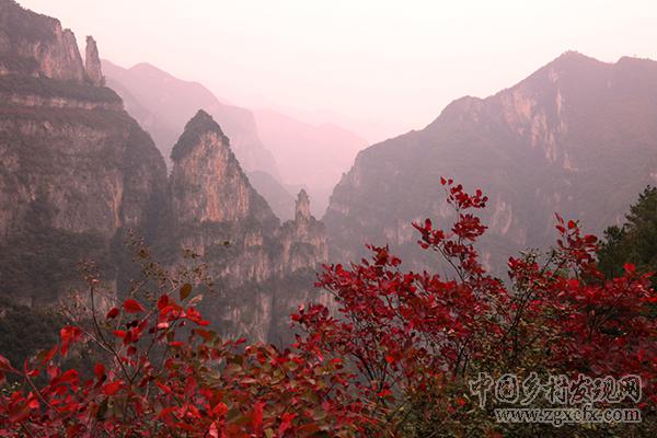 重慶巫山紅葉紅似火神秘壯觀(圖13)