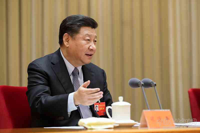 “一號文件”指引中國鄉村振興之路(圖15)