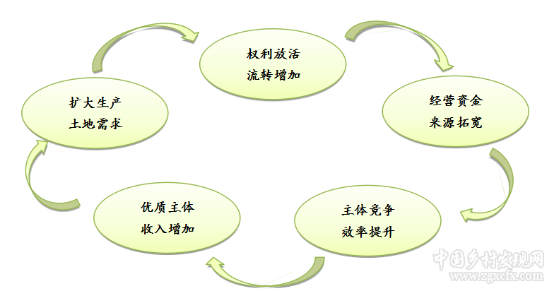 張廣輝等:農村土地“三權分置”與新型農業經營主體培育(圖1)