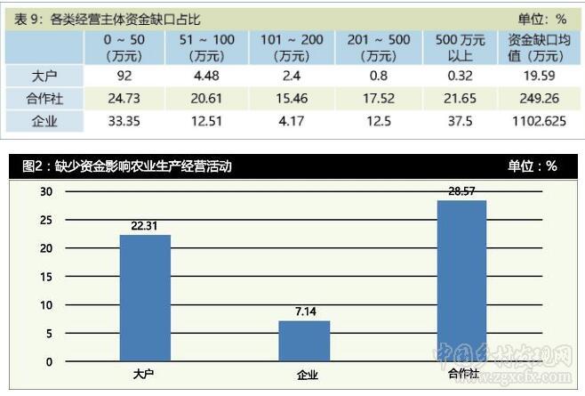 宋洪遠等:農業規模經營主體的融資難題及對策建議(圖4)