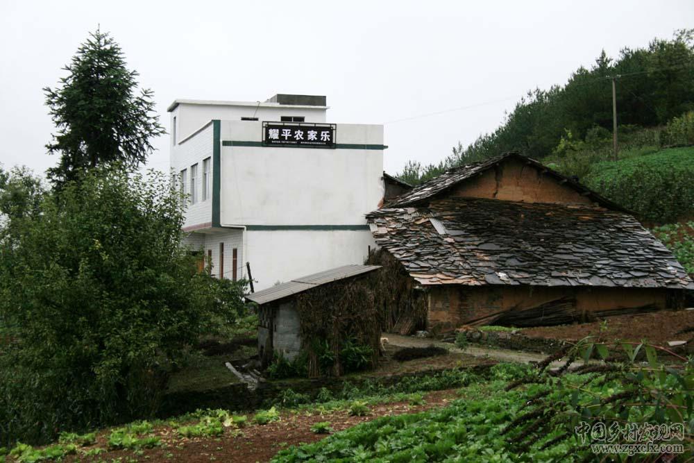 巫山石板房見證農村居住與鄉村振興旅游巨變(圖5)