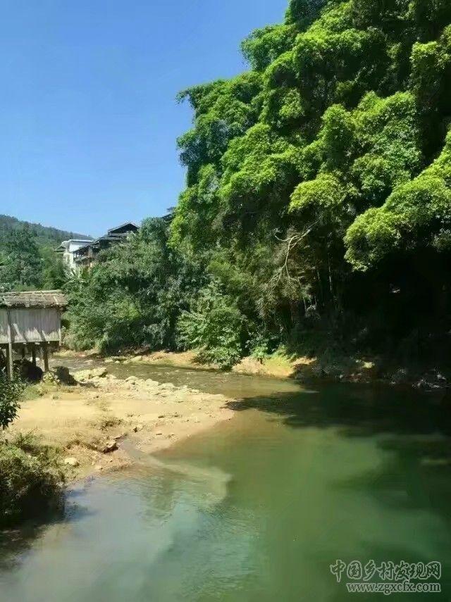 美麗壯鄉書寫農村新生活(圖6)