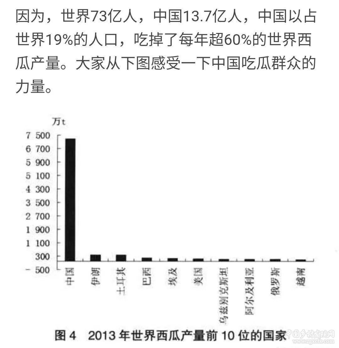 兔透射:中國農業產量之謎(圖1)