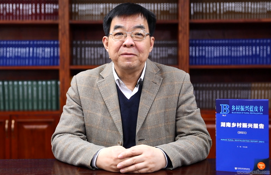 《湖南鄉村振興報告（2021）》藍皮書發布會在湖南師大舉行(圖3)