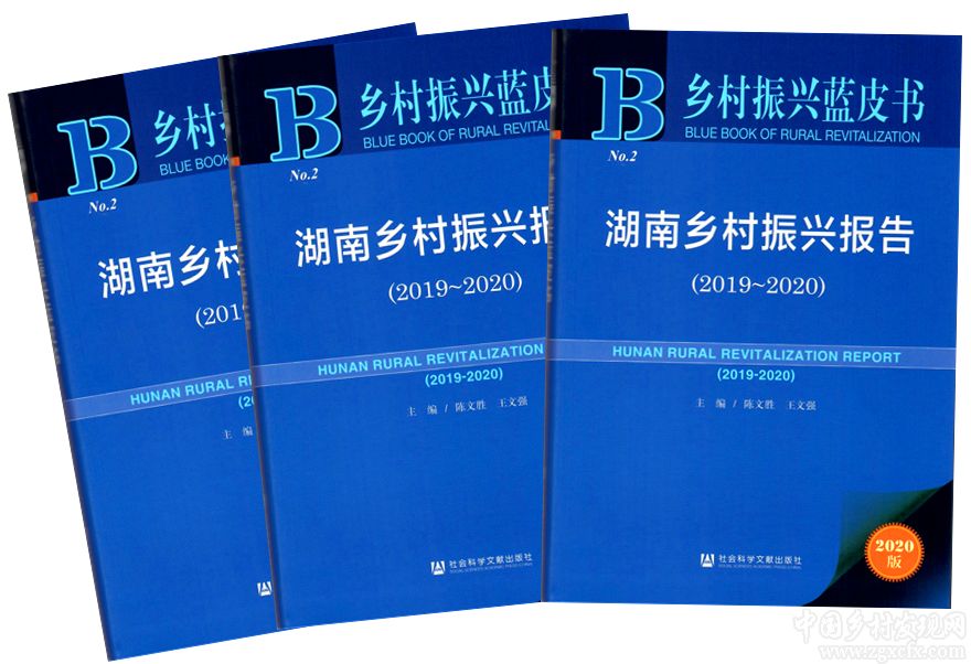 《湖南鄉(xiāng)村振興報(bào)告（2019-2020）》出版(圖1)