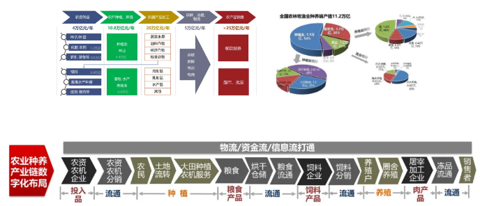 馬帥等:鄉村人才振興的重要性思考(圖1)