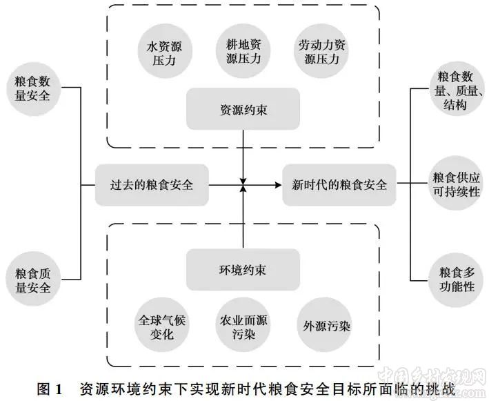 宋洪遠(yuǎn):資源環(huán)境約束下的中國糧食安全(圖1)